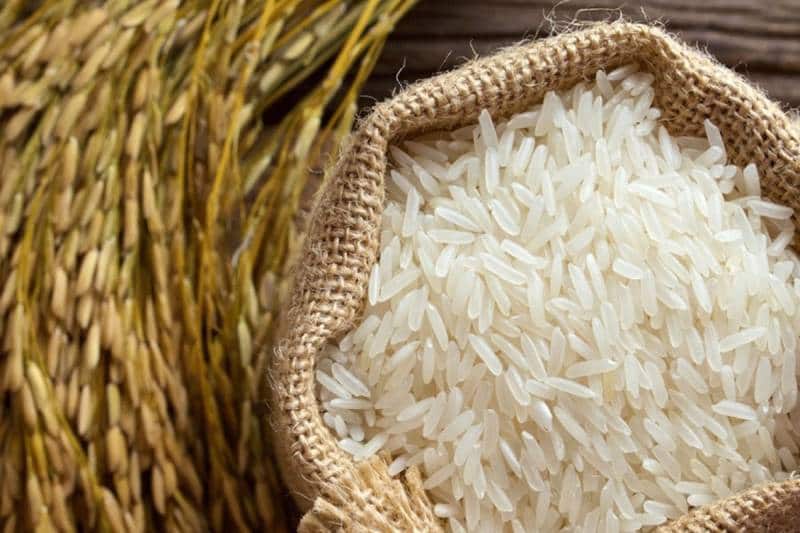 قیمت خرید برنج شمال طارم عمده به صرفه و ارزان